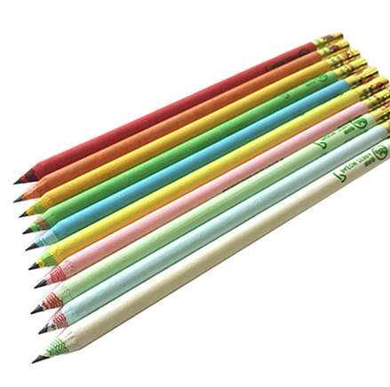 Paeon Antibacterial Zebra Cutting Pencil