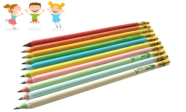 Paeon Antibacterial Zebra Cutting Pencil