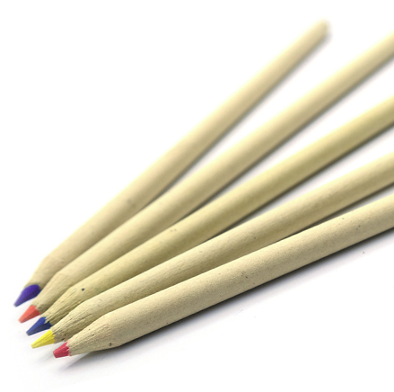 Zebra Colored Pencil