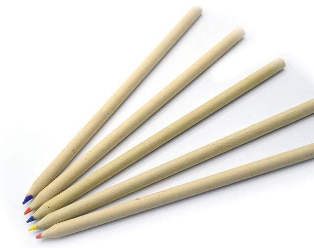 Zebra Colored Pencil