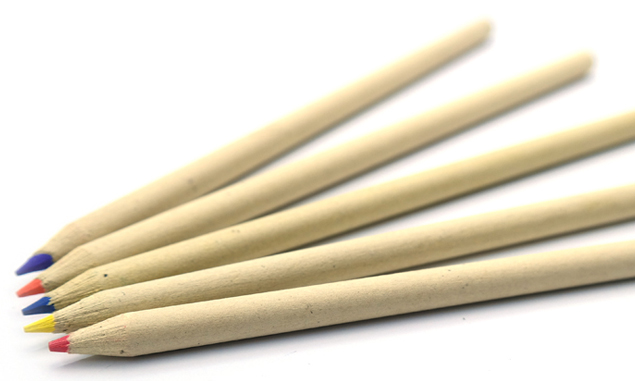 Zebra Colored Pencil