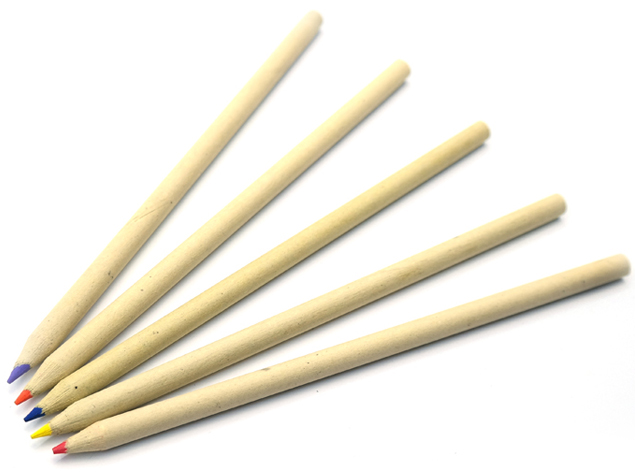 Zebra Colored Pencil